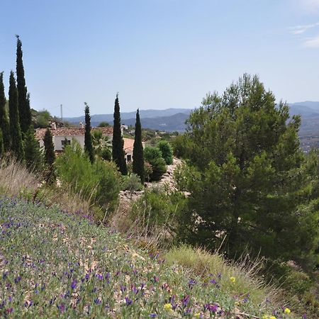 Boutique B&B El Refugio Alcaucín エクステリア 写真