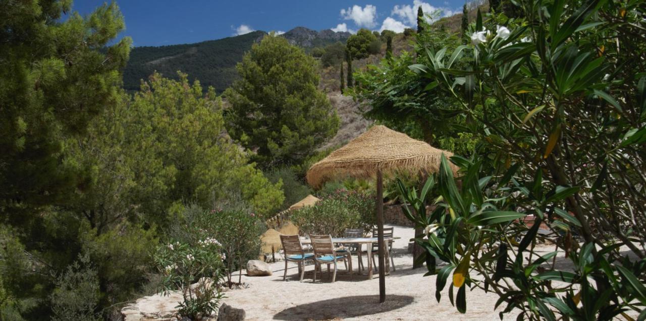 Boutique B&B El Refugio Alcaucín エクステリア 写真