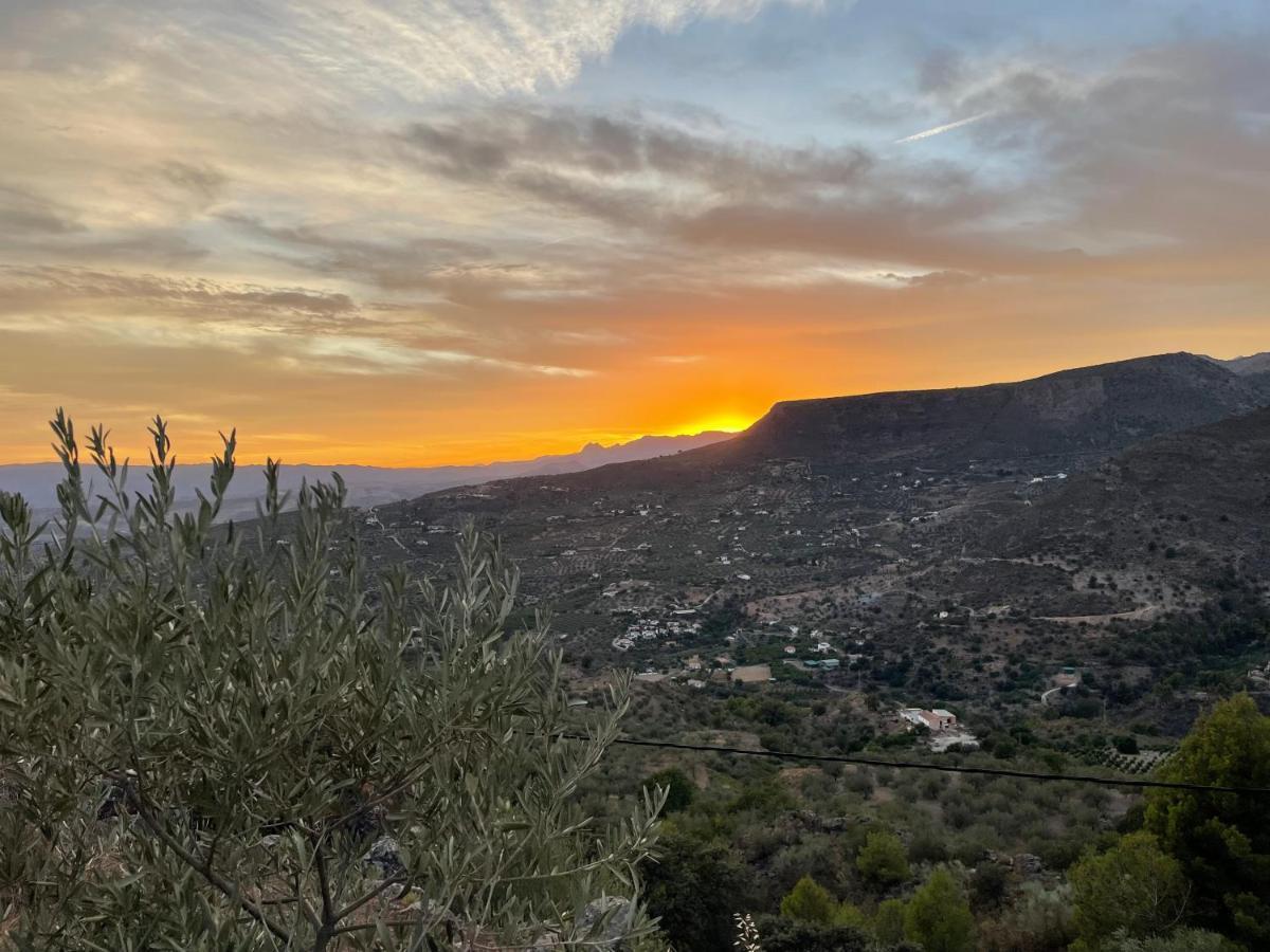 Boutique B&B El Refugio Alcaucín エクステリア 写真