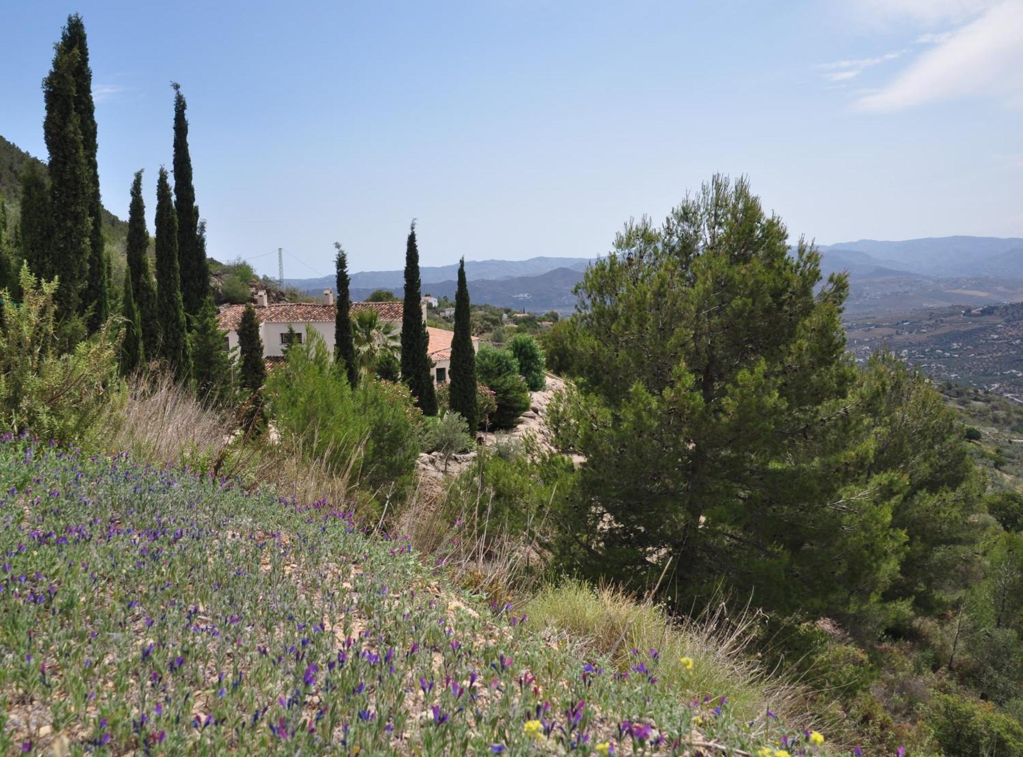 Boutique B&B El Refugio Alcaucín エクステリア 写真
